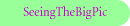 SeeingTheBigPic 